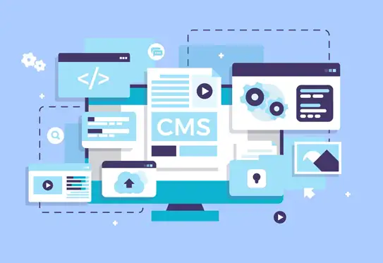 CMS Development