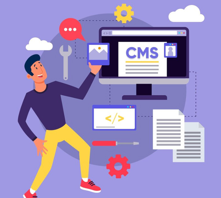 CMS Development